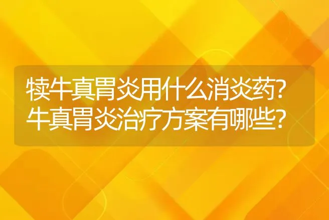 犊牛真胃炎用什么消炎药？牛真胃炎治疗方案有哪些？ | 兽医知识大全