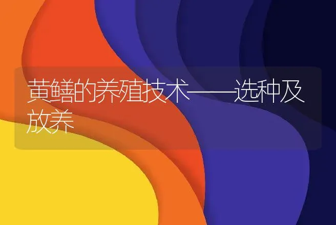 黄鳝的养殖技术——选种及放养 | 水产知识