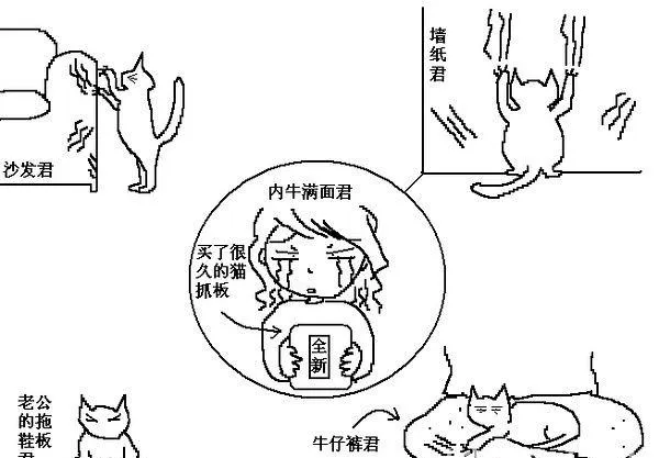 猫咪行为图解:养过猫的都懂 | 宠物喂养知识