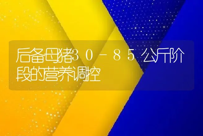 后备母猪30-85公斤阶段的营养调控 | 动物养殖