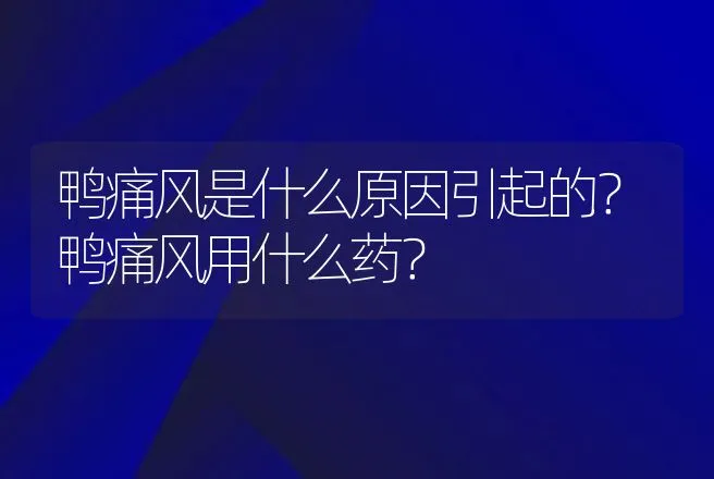 鸭痛风是什么原因引起的？鸭痛风用什么药？ | 兽医知识大全