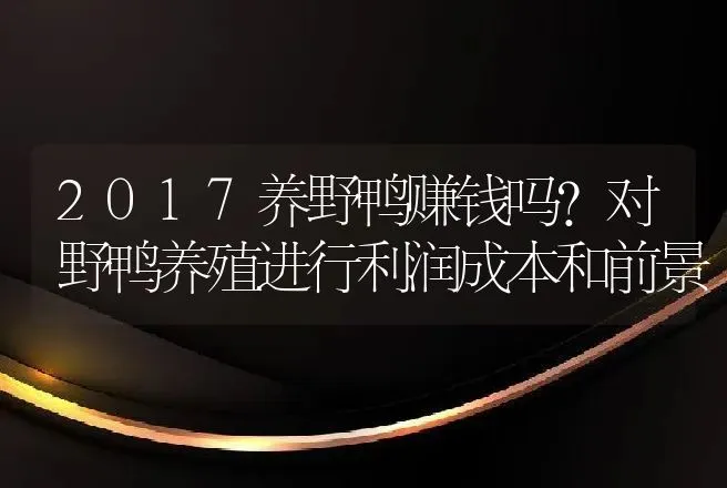 2017养野鸭赚钱吗?对野鸭养殖进行利润成本和前景 | 家禽养殖