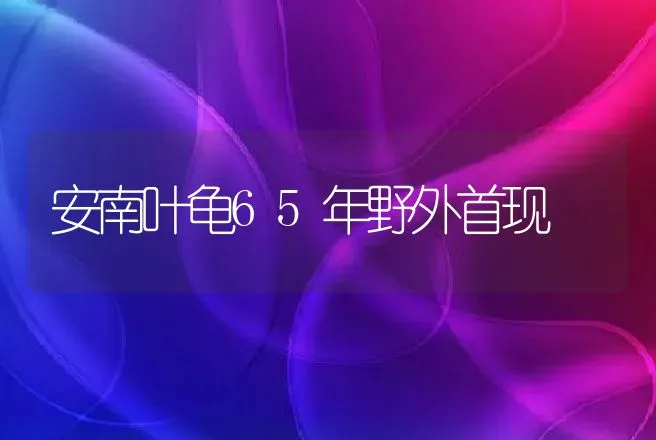 安南叶龟65年野外首现 | 动物养殖