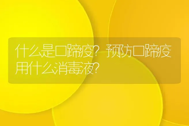 什么是口蹄疫？预防口蹄疫用什么消毒液？ | 兽医知识大全