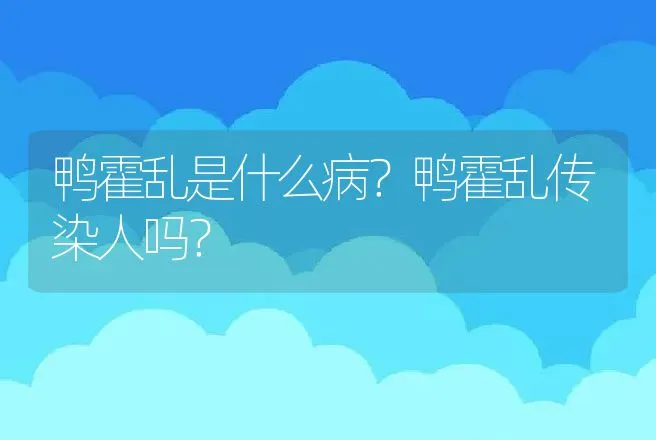 鸭霍乱是什么病？鸭霍乱传染人吗？ | 兽医知识大全