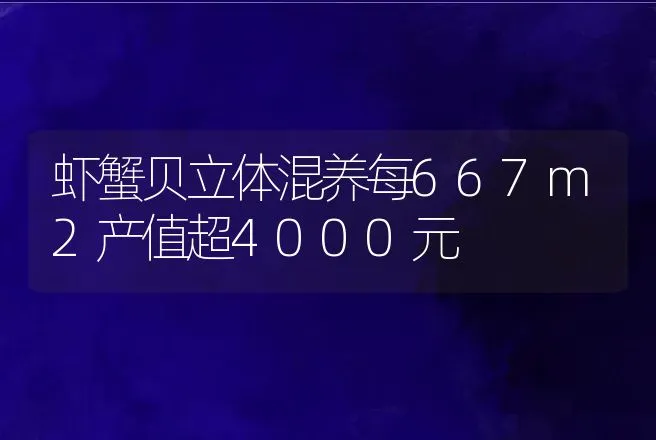 虾蟹贝立体混养每667m2产值超4000元 | 动物养殖