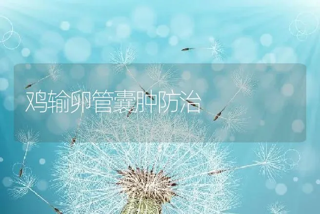 鸡输卵管囊肿防治 | 动物养殖