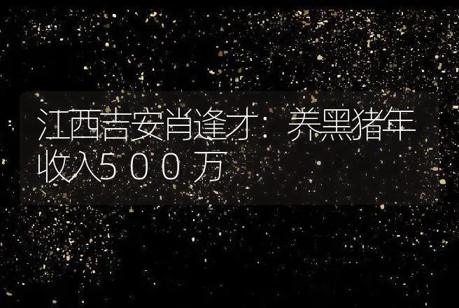 江西吉安肖逢才：养黑猪年收入500万 | 养殖致富