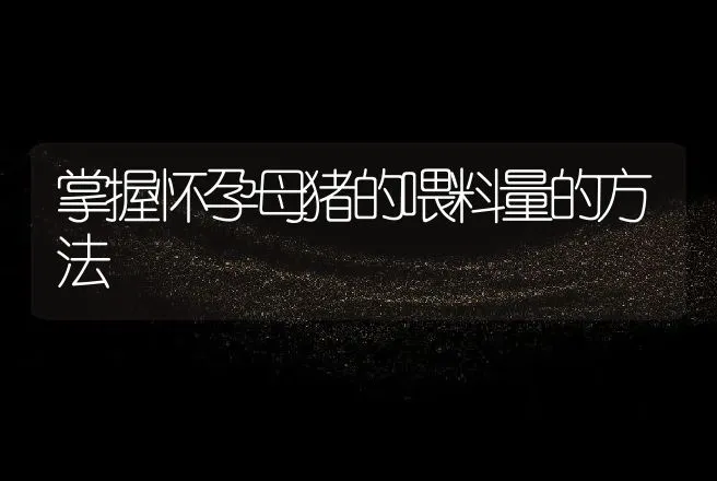 掌握怀孕母猪的喂料量的方法 | 动物养殖