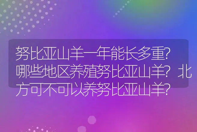 努比亚山羊一年能长多重?哪些地区养殖努比亚山羊?北方可不可以养努比亚山羊? | 动物养殖