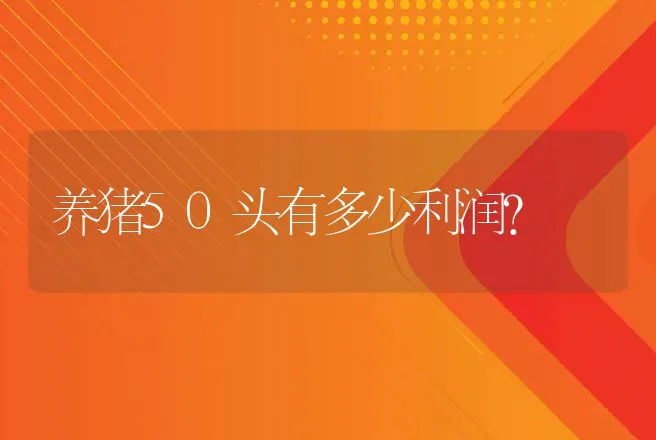 养猪50头有多少利润? | 家畜养殖