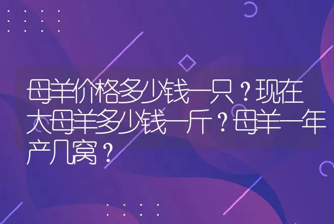 母羊价格多少钱一只？现在大母羊多少钱一斤？母羊一年产几窝？ | 家畜养殖