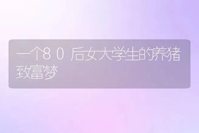 一个80后女大学生的养猪致富梦 | 养殖致富