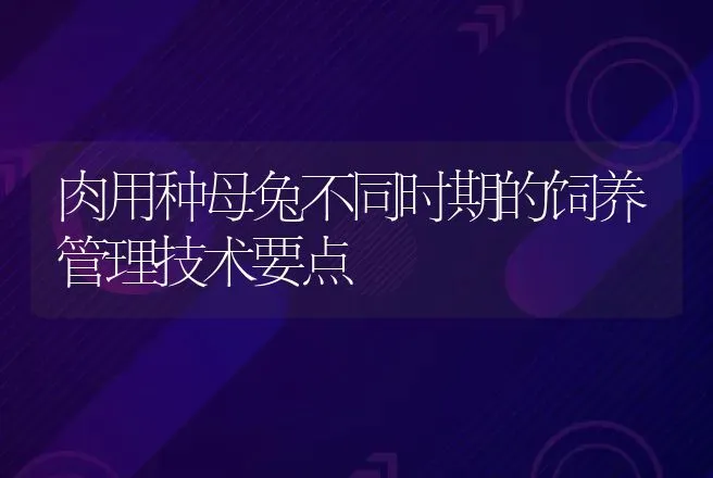 肉用种母兔不同时期的饲养管理技术要点 | 动物养殖