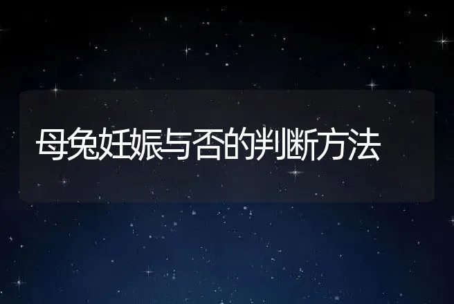 母兔妊娠与否的判断方法 | 动物养殖