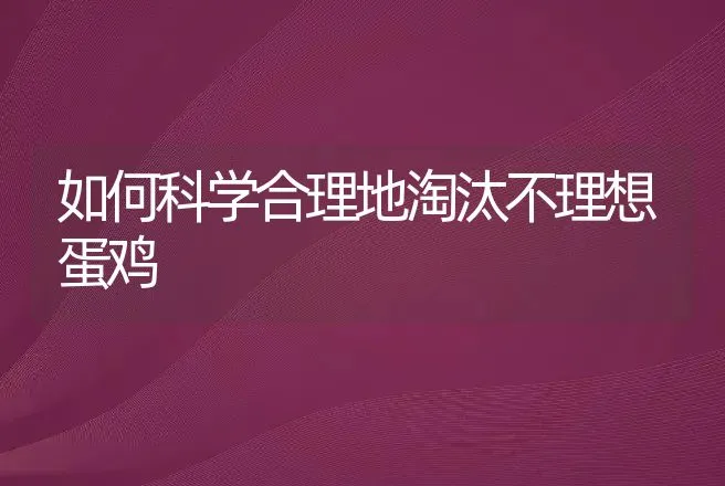 如何科学合理地淘汰不理想蛋鸡 | 动物养殖