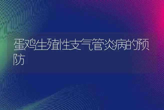 蛋鸡生殖性支气管炎病的预防 | 动物养殖