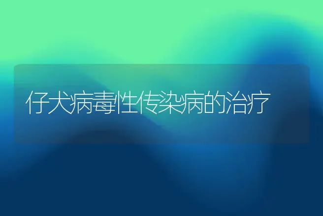 仔犬病毒性传染病的治疗 | 动物养殖