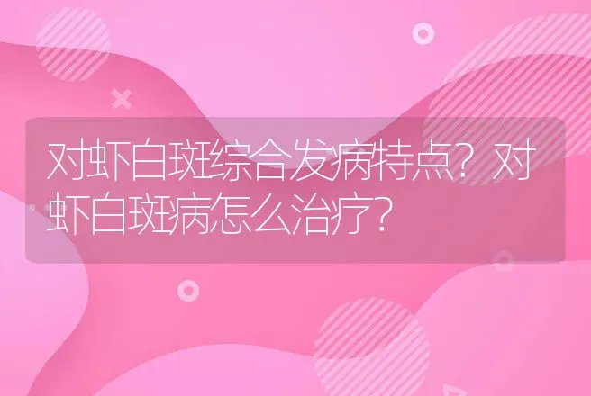 对虾白斑综合发病特点？对虾白斑病怎么治疗？ | 兽医知识大全