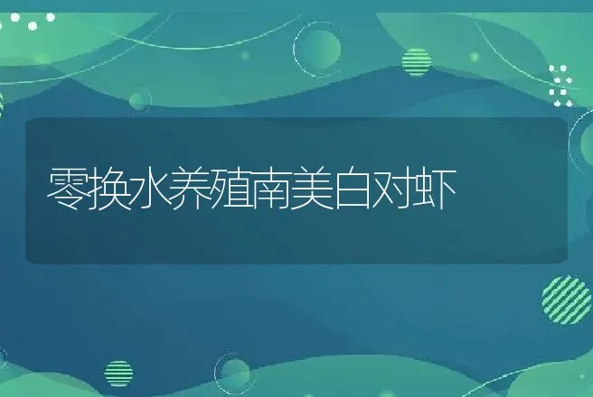 零换水养殖南美白对虾 | 动物养殖