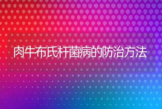 肉牛布氏杆菌病的防治方法 | 家畜养殖