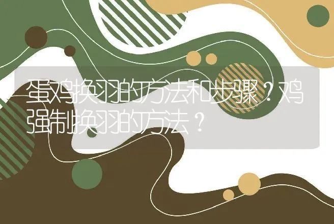 蛋鸡换羽的方法和步骤？鸡强制换羽的方法？ | 家禽养殖