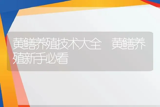 黄鳝养殖技术大全 黄鳝养殖新手必看 | 家禽养殖