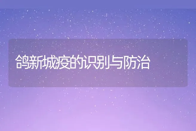 鸽新城疫的识别与防治 | 动物养殖