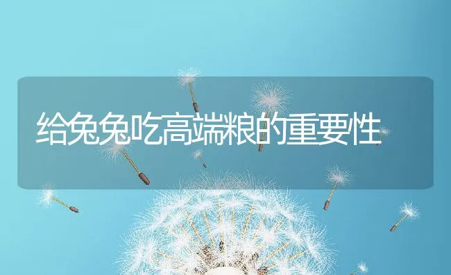 给兔兔吃高端粮的重要性 | 宠物训练技巧