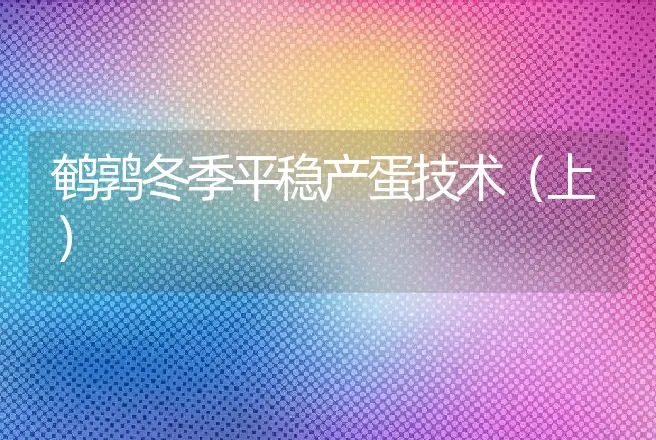 鹌鹑冬季平稳产蛋技术（上） | 动物养殖