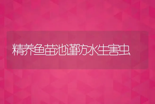 精养鱼苗池谨防水生害虫 | 动物养殖