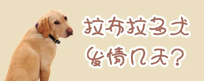 拉布拉多犬发情几天 | 宠物病虫害防治