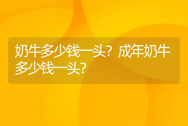 奶牛多少钱一头？成年奶牛多少钱一头？ | 养殖致富