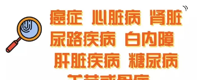 什么是老年犬症候群？主人需要做些什么？ | 宠物狗饲养