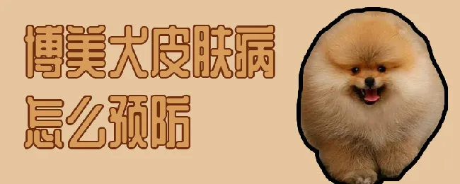 博美犬皮肤病怎么预防 | 宠物病虫害防治