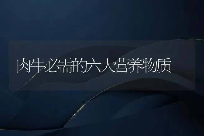 韩国首批克隆警犬今年上岗天生聪明好驯养 | 动物养殖