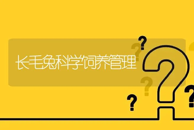 长毛兔科学饲养管理 | 动物养殖