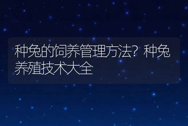 种兔的饲养管理方法？种兔养殖技术大全 | 特种养殖