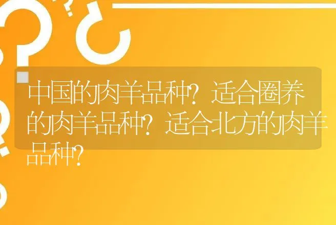 中国的肉羊品种？适合圈养的肉羊品种？适合北方的肉羊品种？ | 家畜养殖