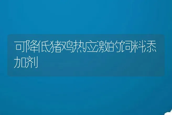 可降低猪鸡热应激的饲料添加剂 | 动物养殖