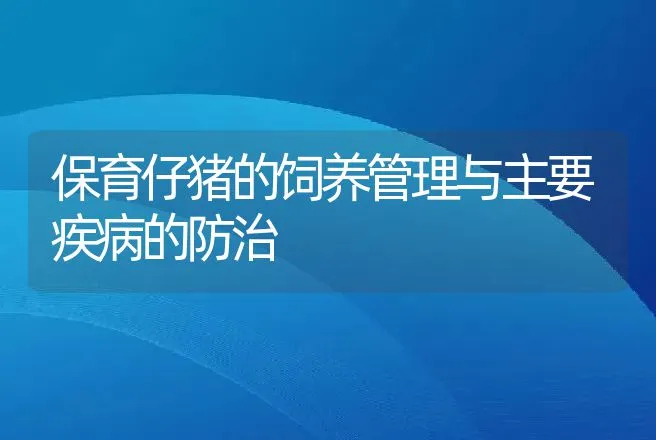 保育仔猪的饲养管理与主要疾病的防治 | 动物养殖