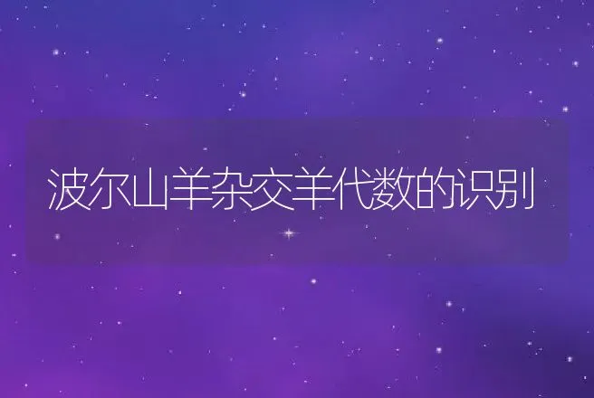 波尔山羊杂交羊代数的识别 | 动物养殖