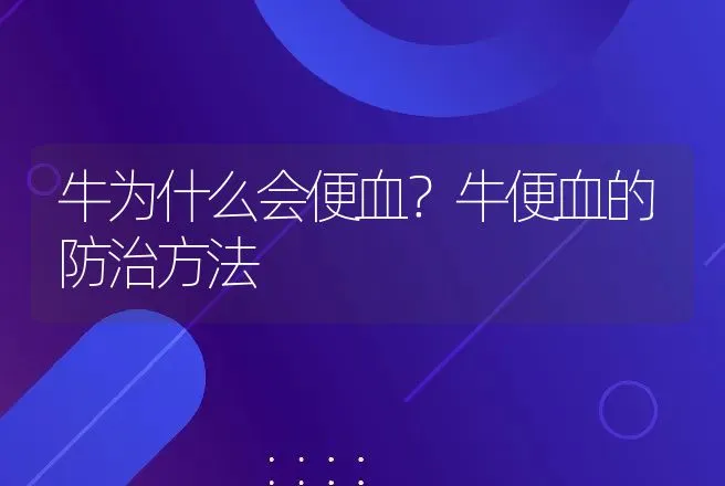 牛为什么会便血？牛便血的防治方法 | 兽医知识大全