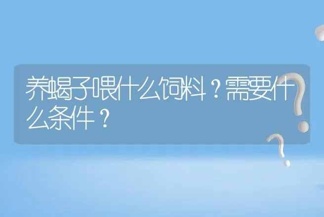 养蝎子喂什么饲料？需要什么条件？ | 特种养殖