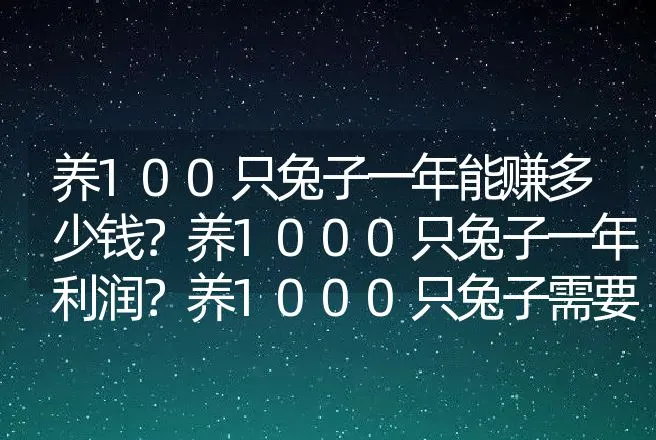 养100只兔子一年能赚多少钱？养1000只兔子一年利润？养1000只兔子需要投资多少钱？ | 养殖致富