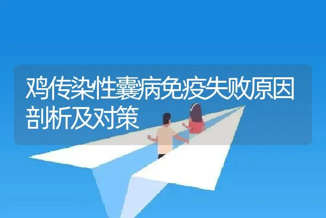 鸡传染性囊病免疫失败原因剖析及对策 | 动物养殖