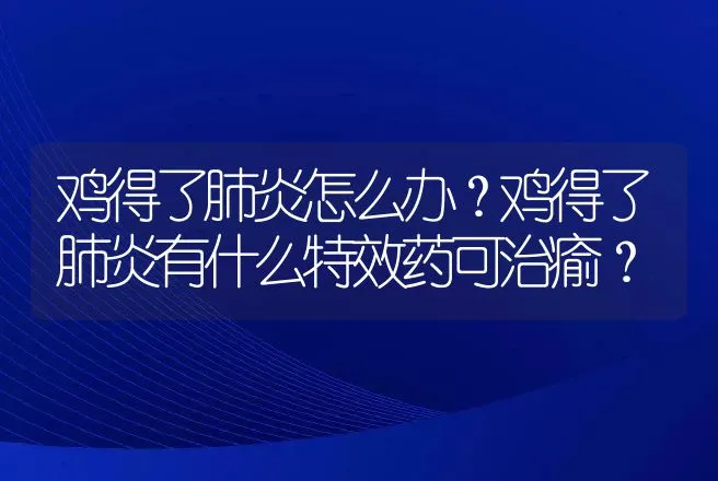 鸡得了肺炎怎么办？鸡得了肺炎有什么特效药可治瘉？ | 兽医知识大全