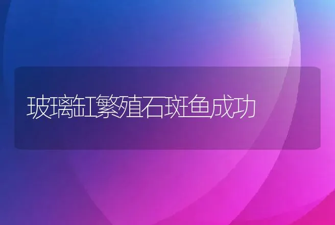 玻璃缸繁殖石斑鱼成功 | 动物养殖