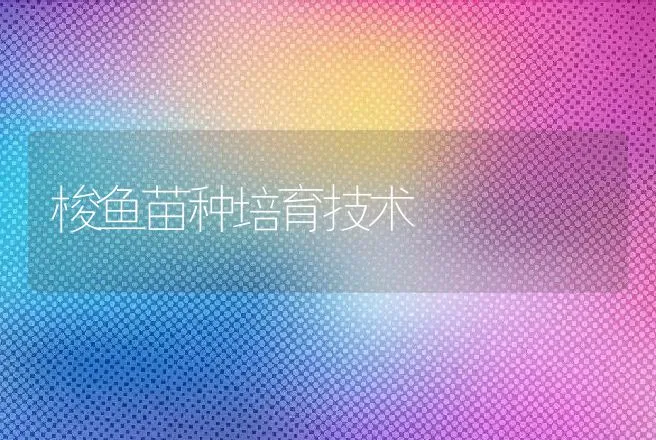 梭鱼苗种培育技术 | 动物养殖