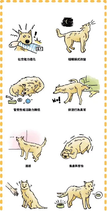 什么是老年犬症候群？主人需要做些什么？ | 宠物狗饲养